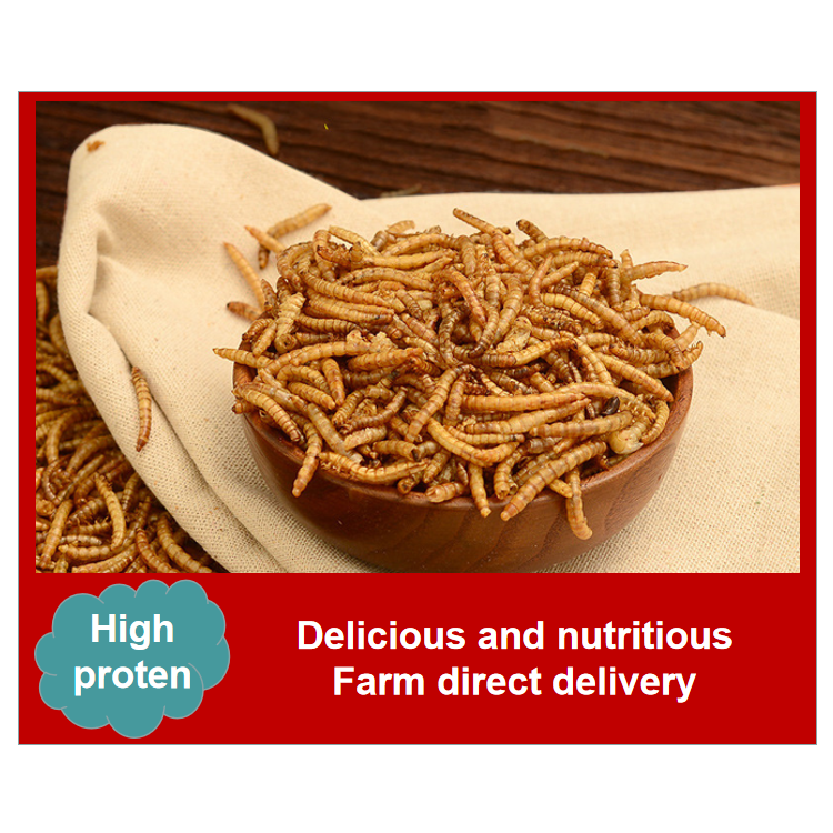 Dried yellow mealworms 